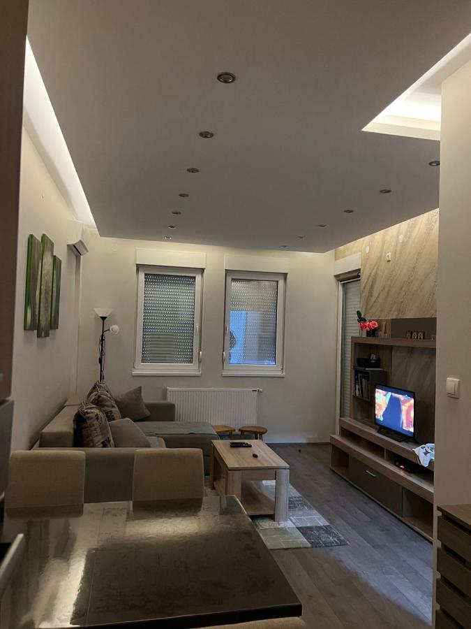 Apartment Dana Banja Koviljača Exteriér fotografie