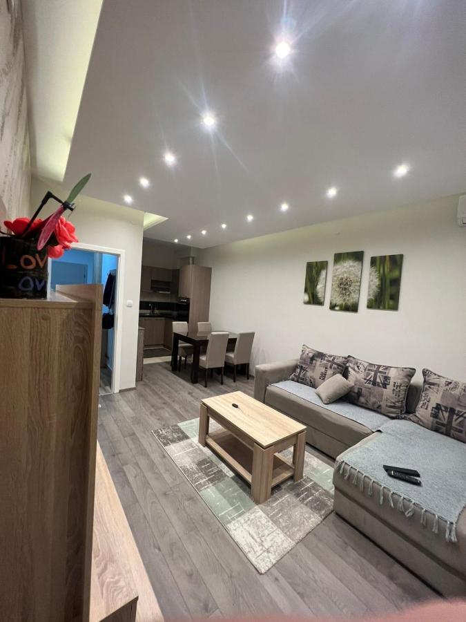 Apartment Dana Banja Koviljača Exteriér fotografie