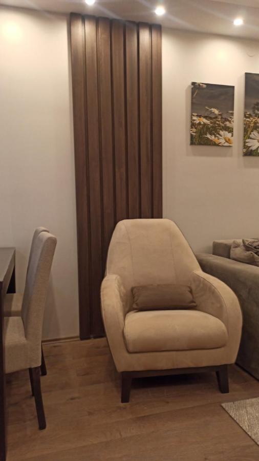 Apartment Dana Banja Koviljača Exteriér fotografie
