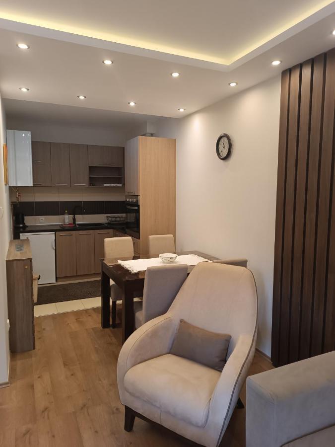 Apartment Dana Banja Koviljača Exteriér fotografie